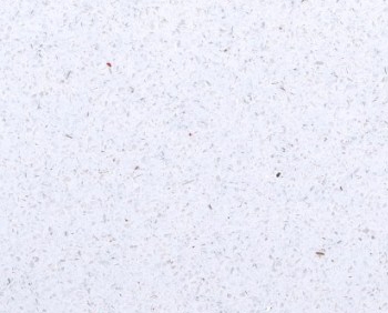 Brilliant White