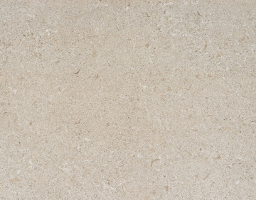 Avorio